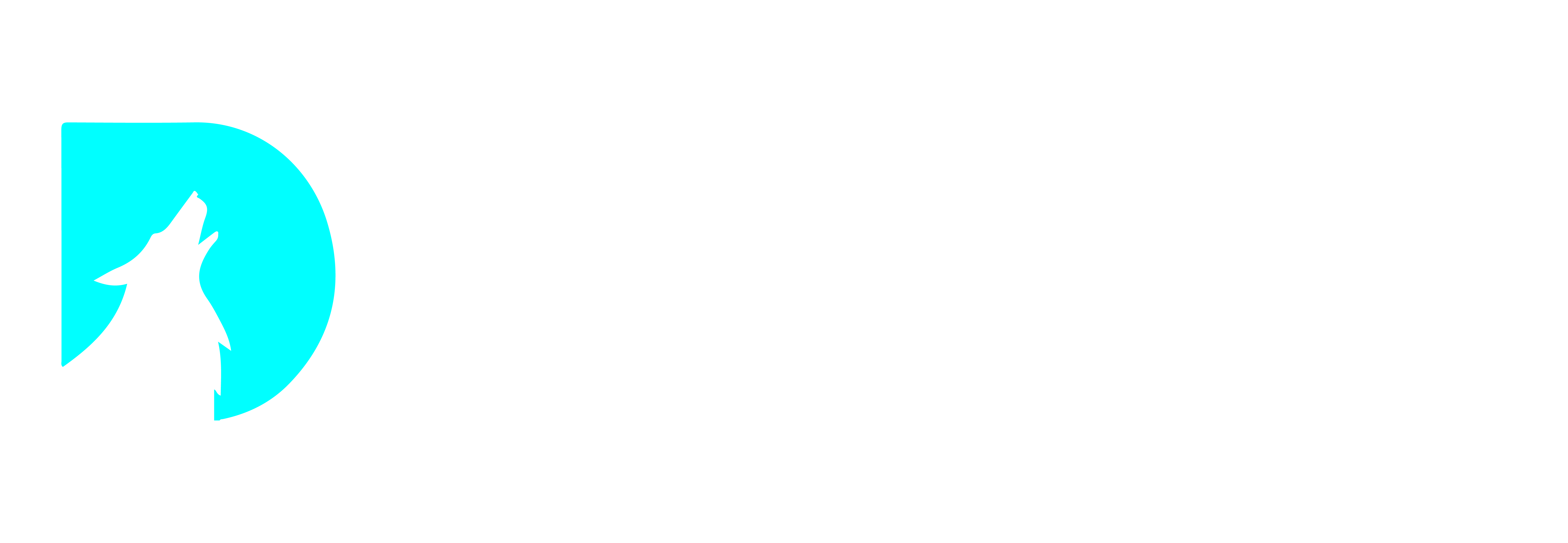 DirePay